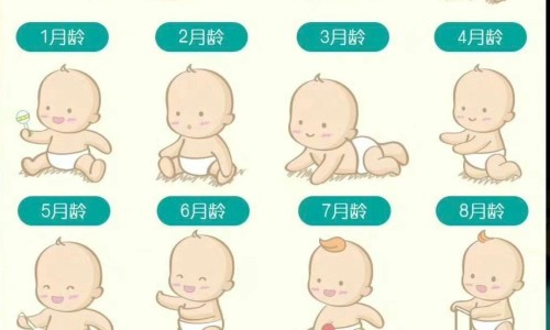 天津格林国际幼儿园学费-方得人心的意思-人体结构几何体速写,中国绞刀功效网站